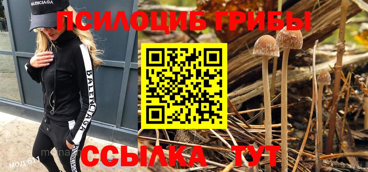 Псилоцибиновые грибы мицелий  купить  сайты  Кашира  Вход с VPN 